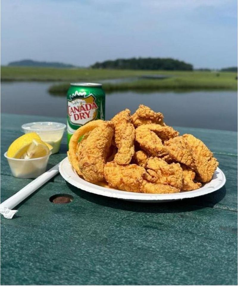 Outdoor Seating And Marshlife