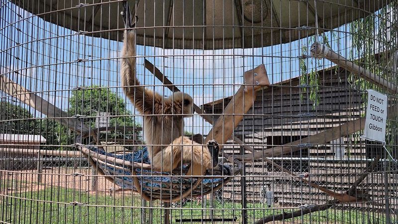 Budgeting Your Day: Tickets, Add-ons, Souvenirs