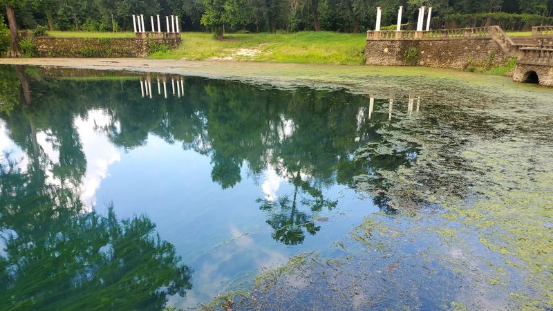 Photo Spots Worth Pausing For