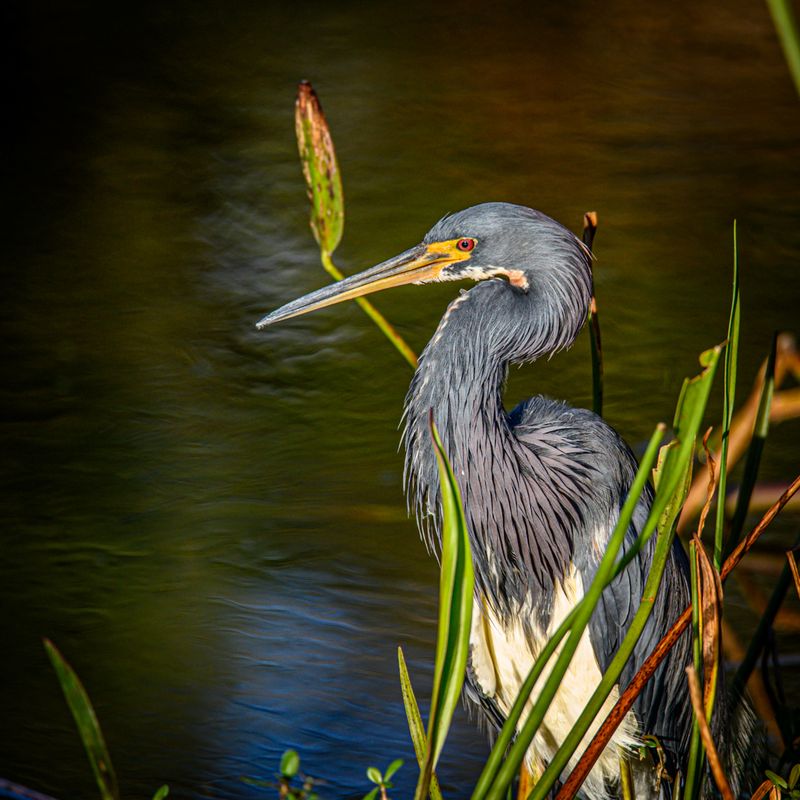 Photography Tips That Deliver Sharp, Vivid Shots