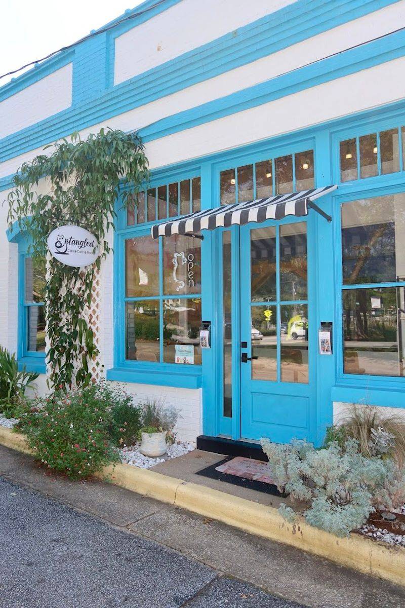 Visitor Info and Tips for First-Timers