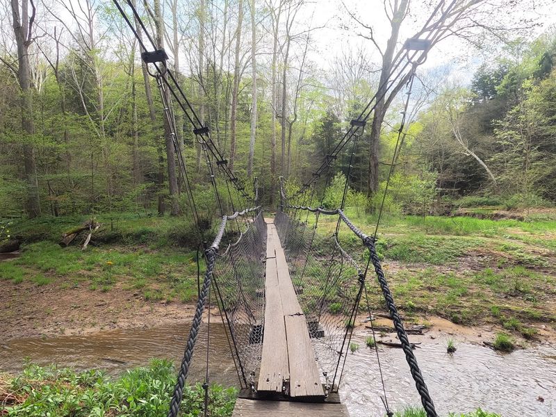 Visitor Info and Tips