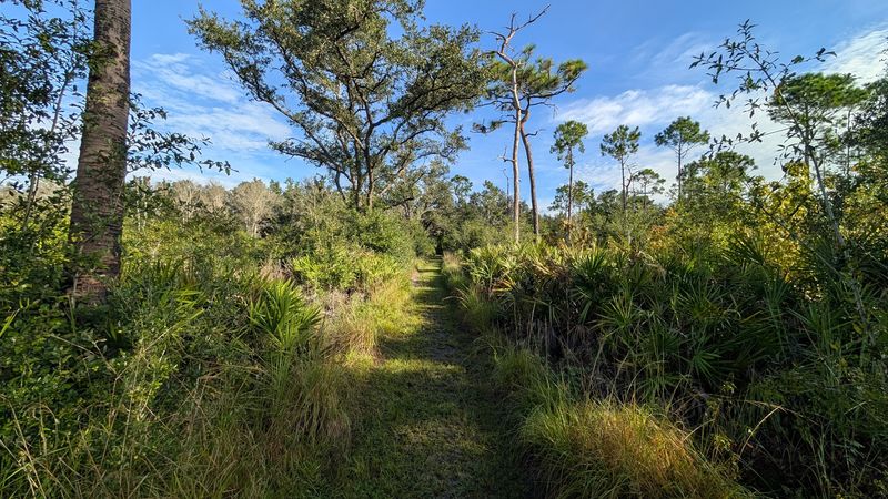 Paynes Creek Historic State Park (Bowling Green)