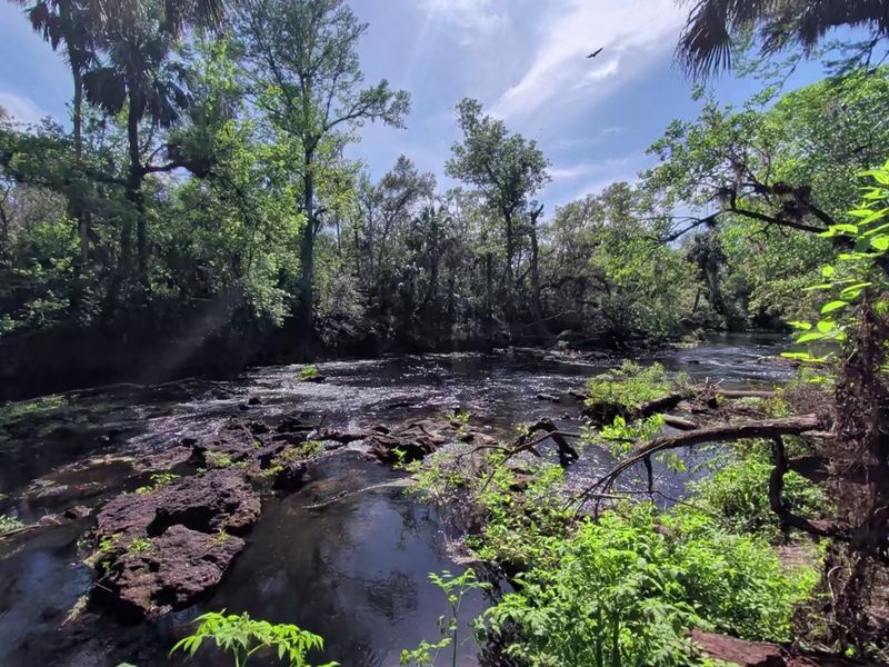 Just 30 Minutes from Tampa — Yet Feels Like Another World