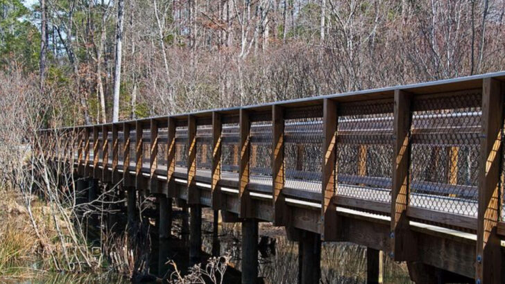 Bike Trails Across North Carolina That Turn a Simple Ride Into a Day Trip