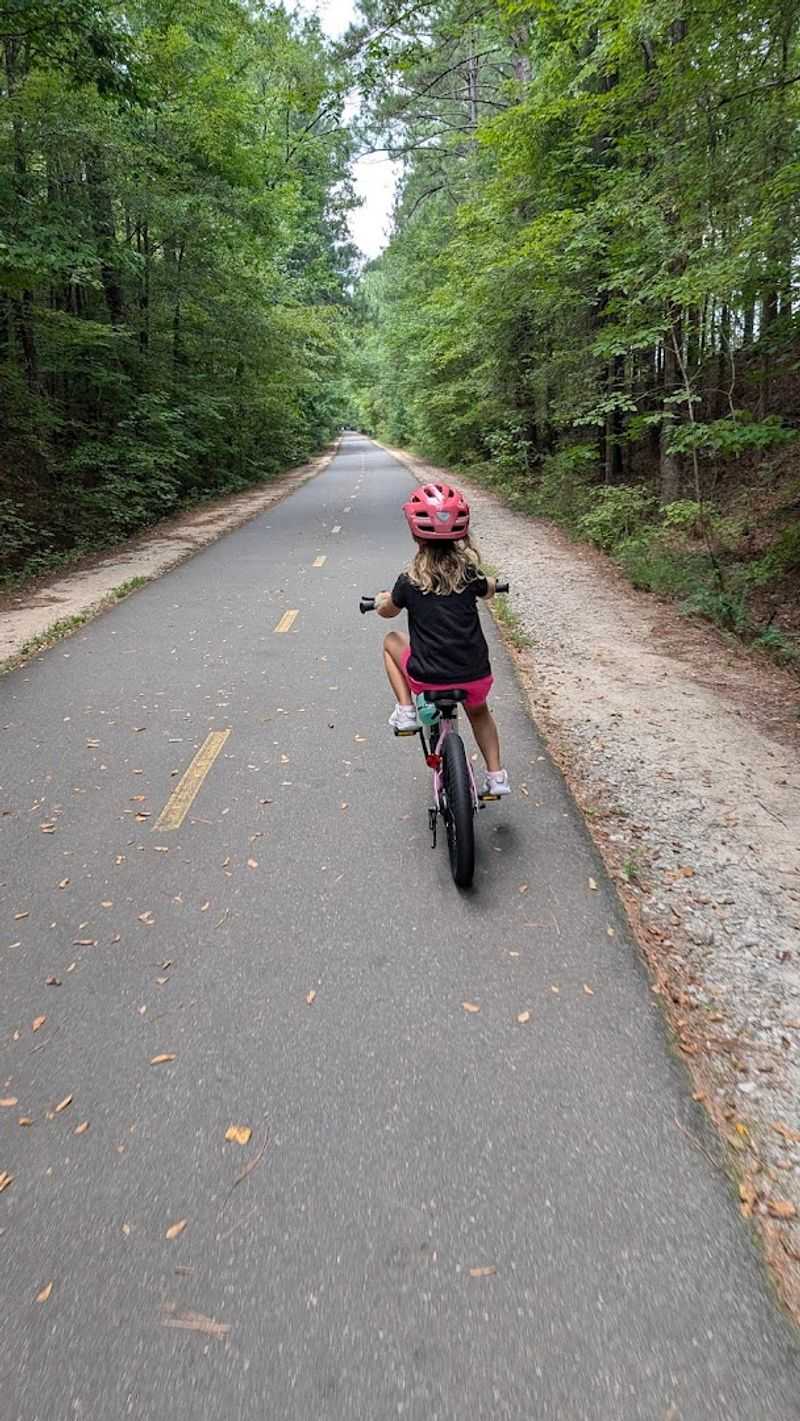 Family-Friendly Sections Perfect for Kids and Beginners