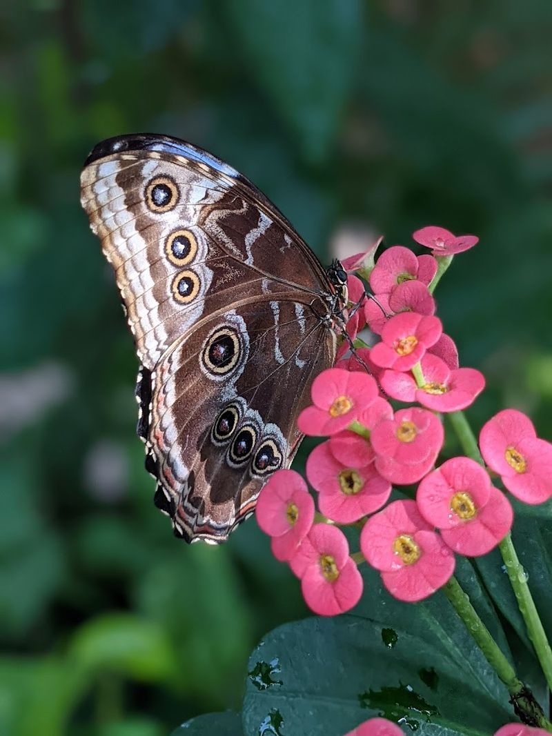 Mindful Etiquette That Protects The Magic