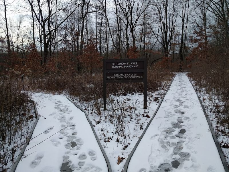 Seasons on the Bog: Winter to High Summer
