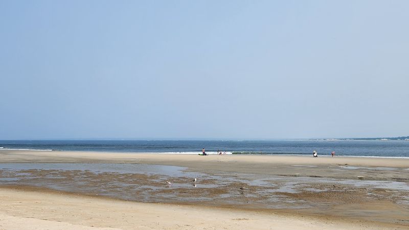 Sand, Wind, and Ocean Views