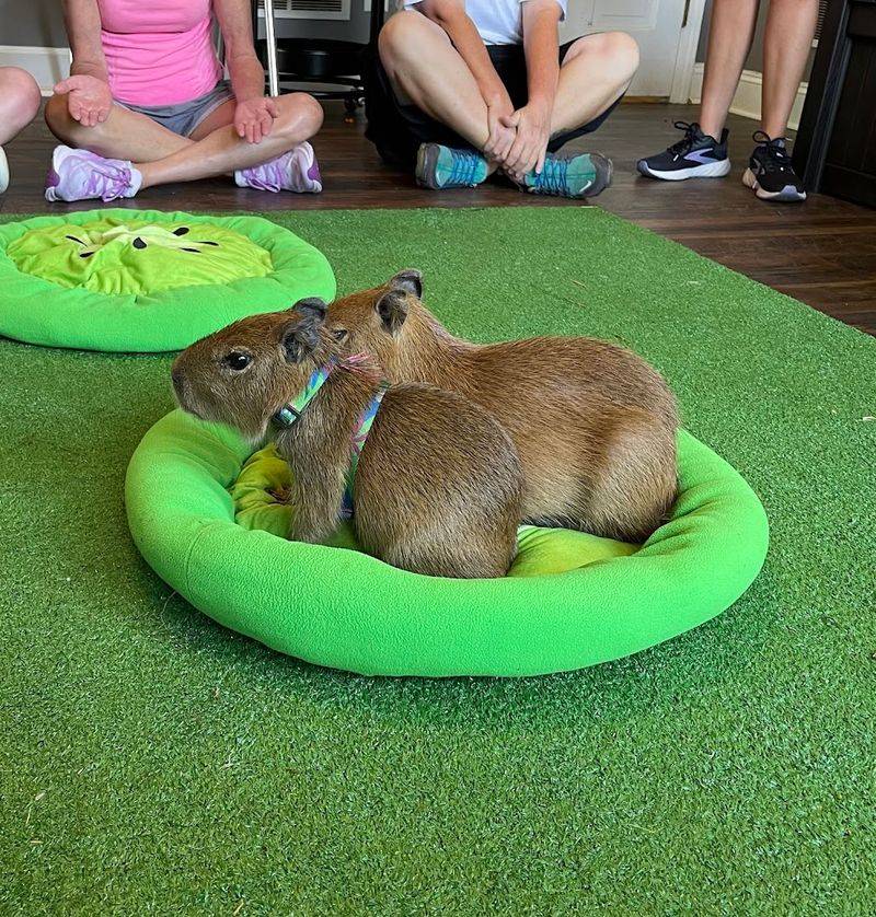 Photo And Video Tips