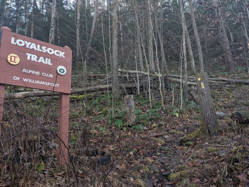 Loyalsock Trail