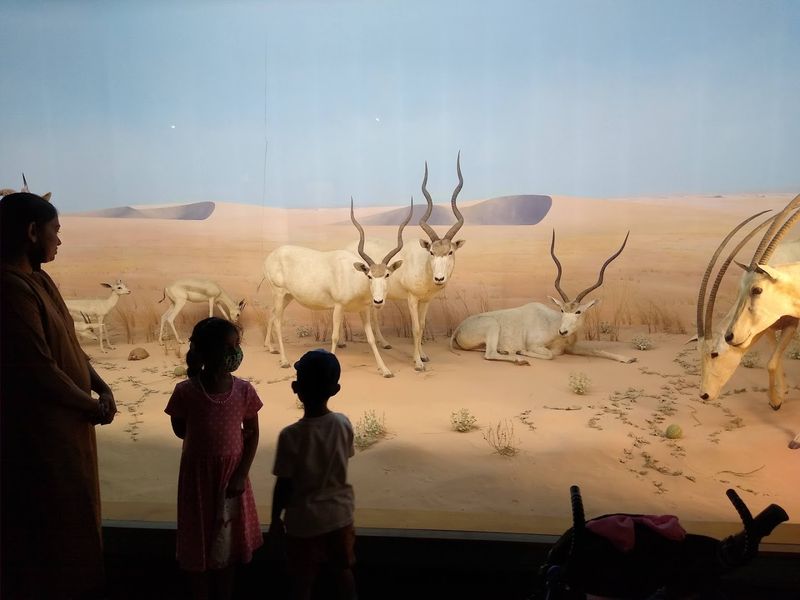 The Academy of Natural Sciences (Philadelphia)