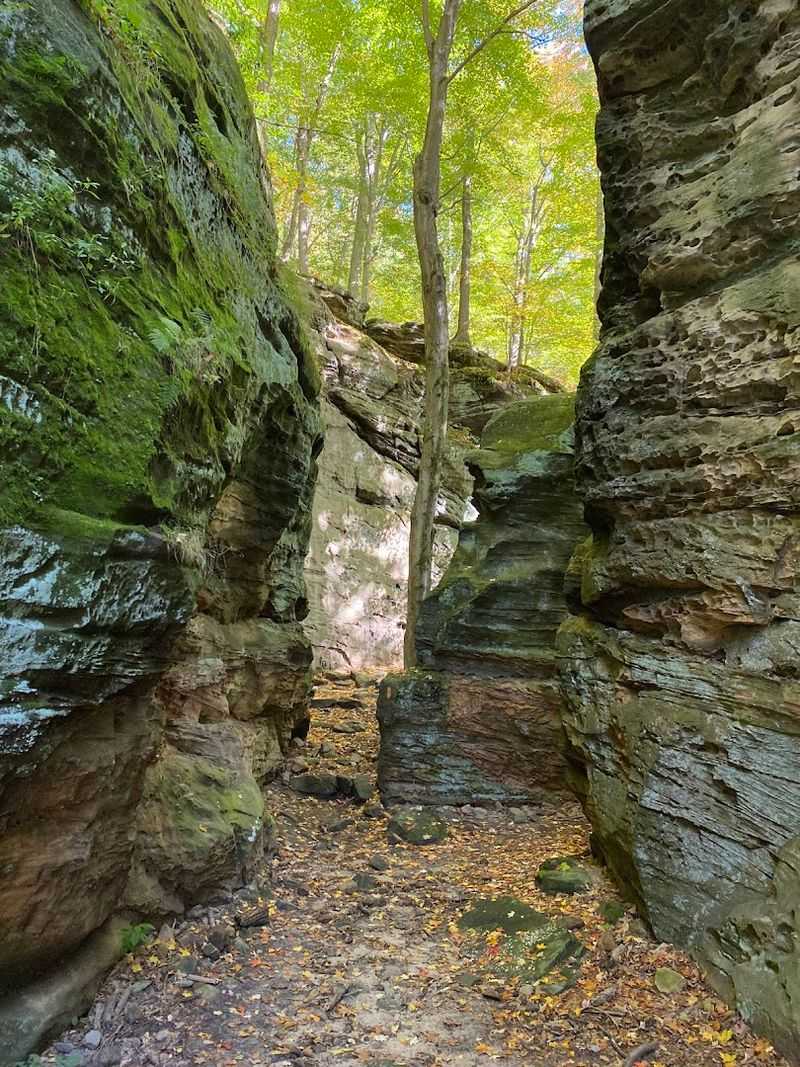 Whipp's Ledges Loop &ndash; Hinckley Reservation