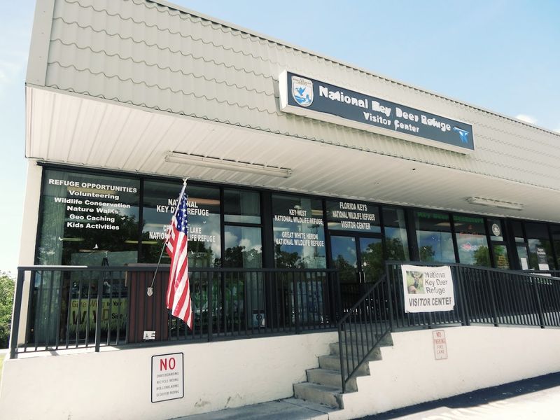 The Visitor Center: Your First Stop for Expert Ranger Advice