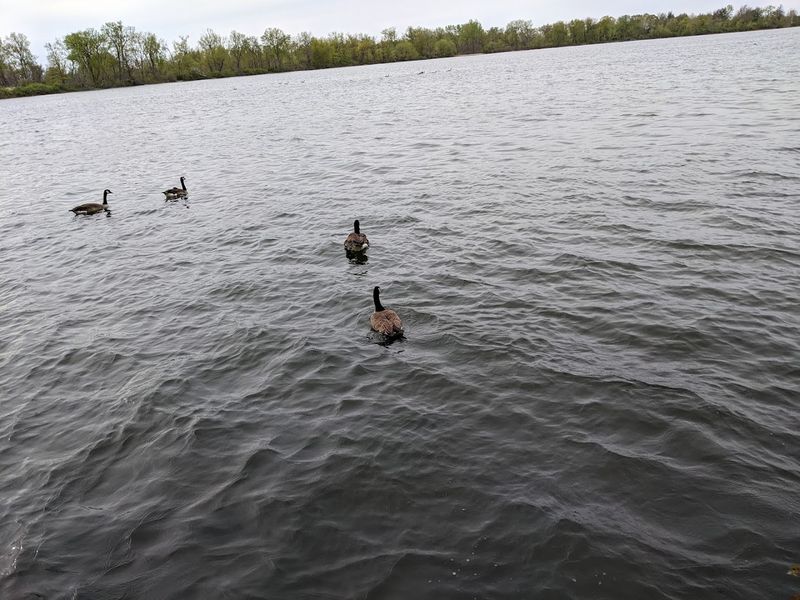 Erie Bluffs State Park (Erie County)