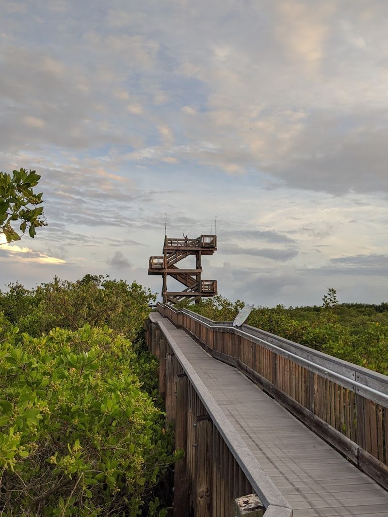 A 45-Foot Observation Tower With Bay Views