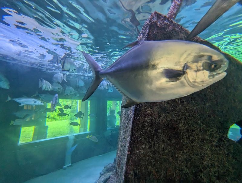 Gumbo Limbo Nature Center - Boca Raton