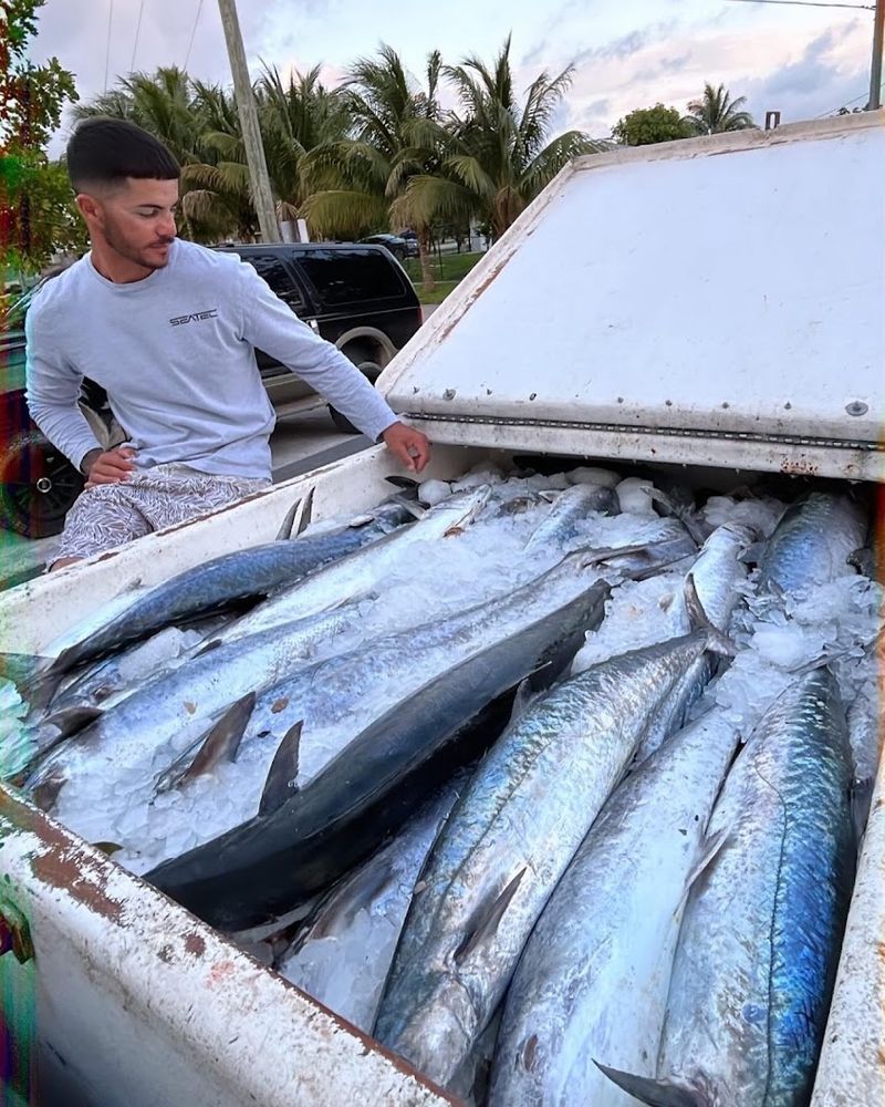 Fresh Florida Fish - Fort Pierce, FL
