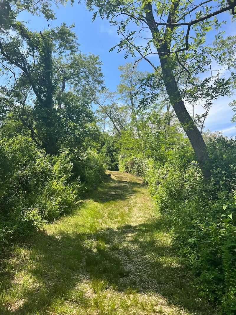 Fort Hill Trail (Cape Cod)