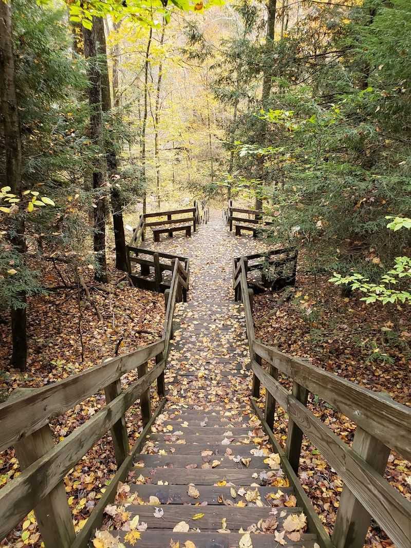 Gorge Trail &ndash; Conkle's Hollow State Nature Preserve