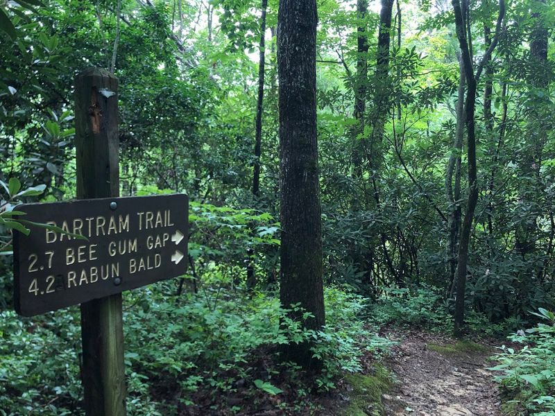 Rabun Bald via Bartram Trail