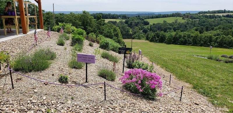 Welcoming Owners Who Share Their Passion