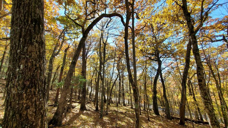 Fall Foliage Views That Will Stop You in Your Tracks