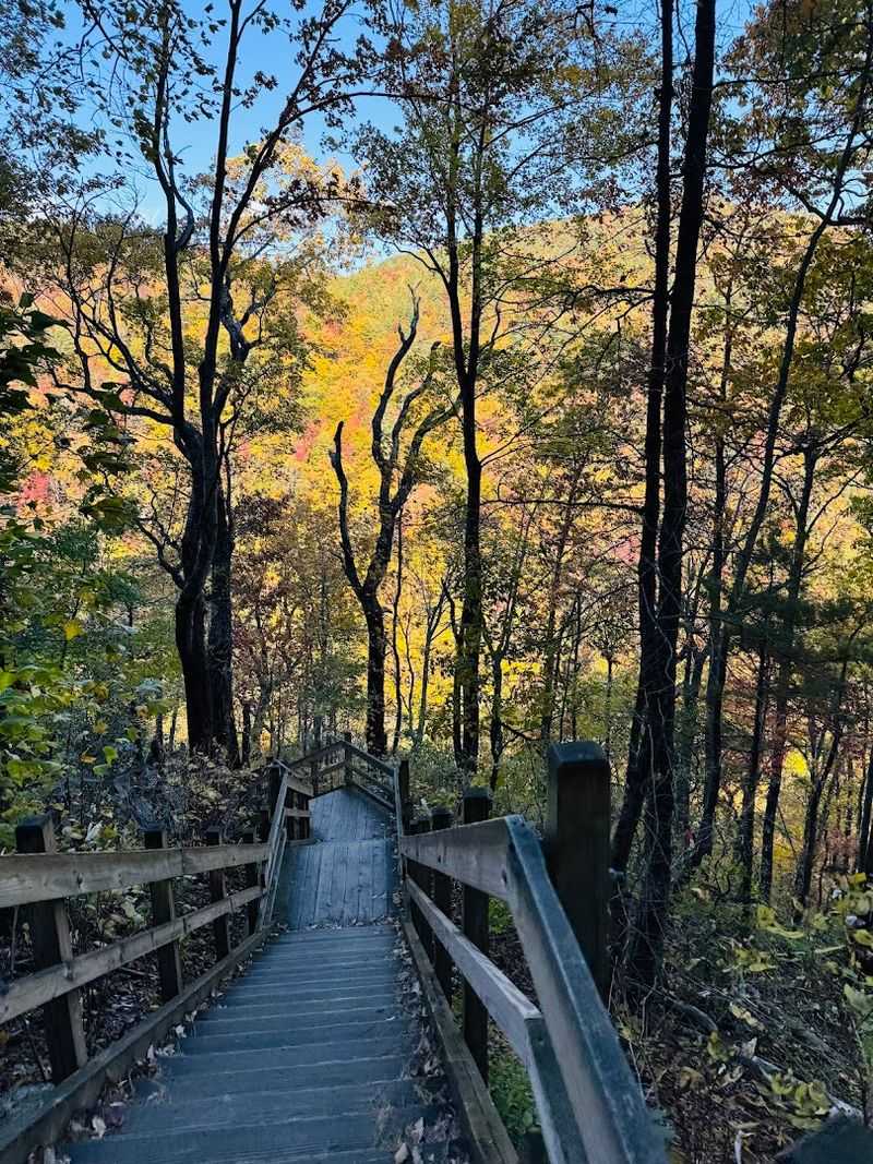 Upper Whitewater Falls