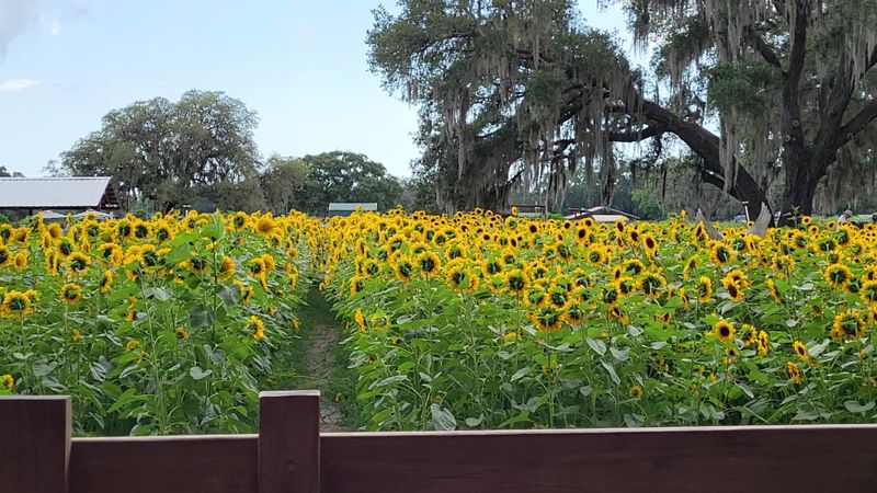 Why This Farm Belongs Exactly Here