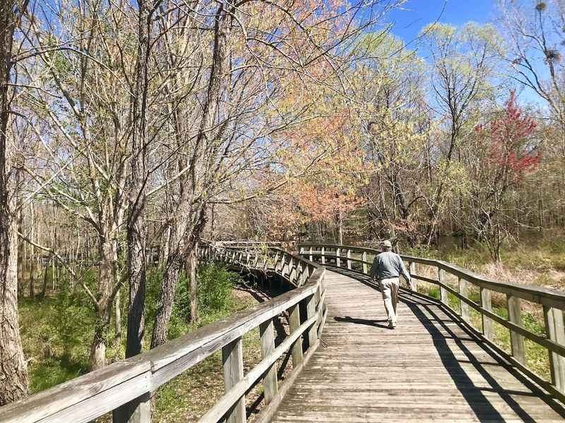 Cashie River Boardwalk, Windsor