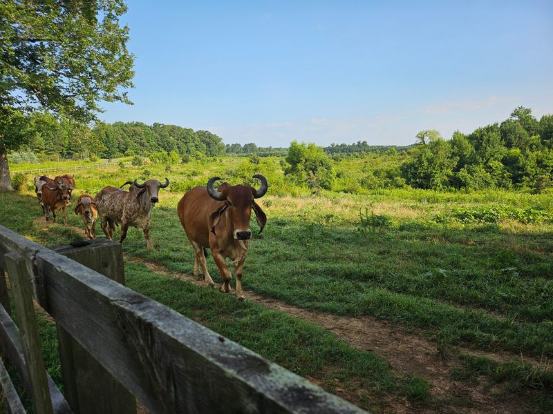 The Sanctuary's Peaceful and Scenic Setting