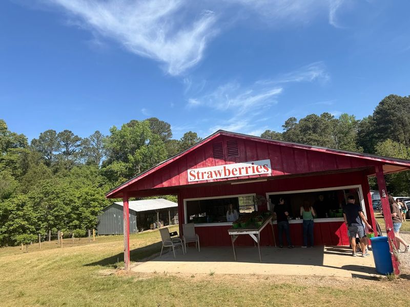 Hunt's Strawberry Farm (Raleigh)