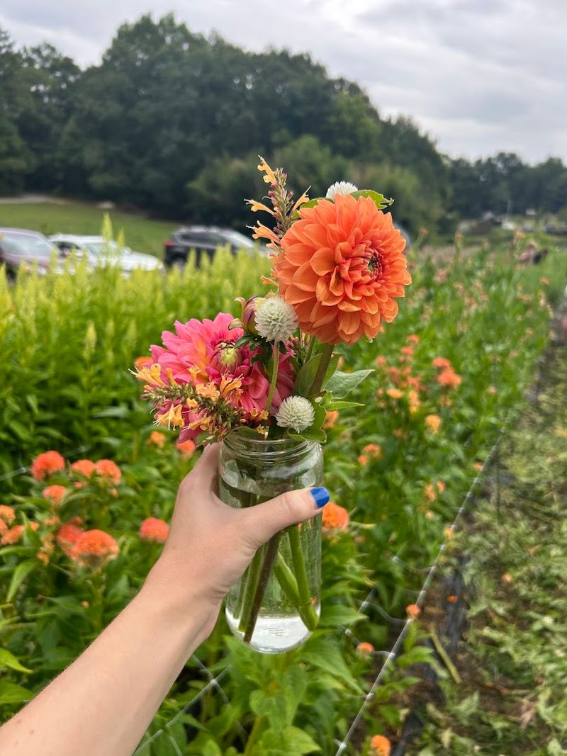 Creekside Flower Farm &ndash; Chickamauga, GA
