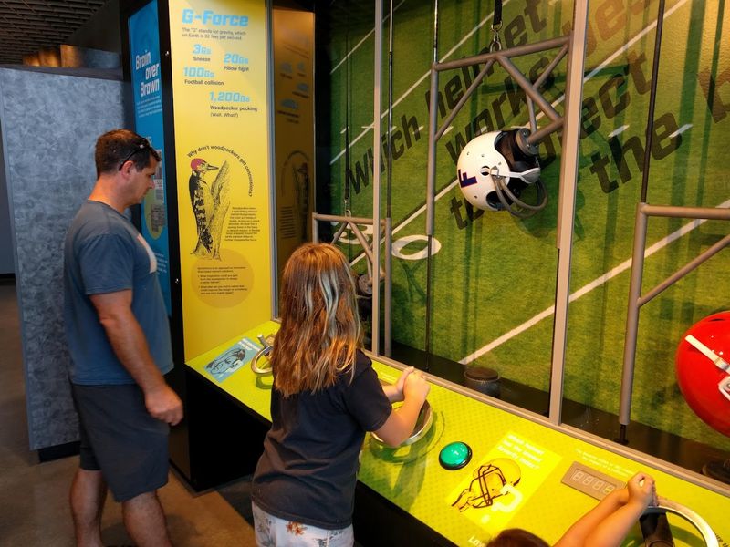 The Rube Goldberg Room: Chain Reactions and Pure Delight