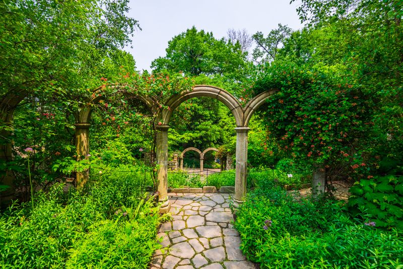 Outdoor Gardens That Refuse To Stay The Same