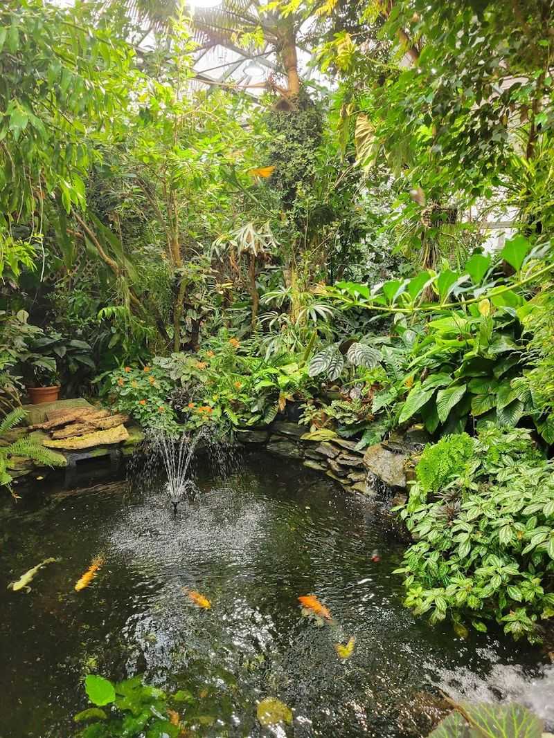 Conservatory Design and Ambiance