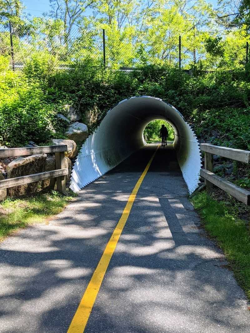 Cape Cod Rail Trail Bike Ride