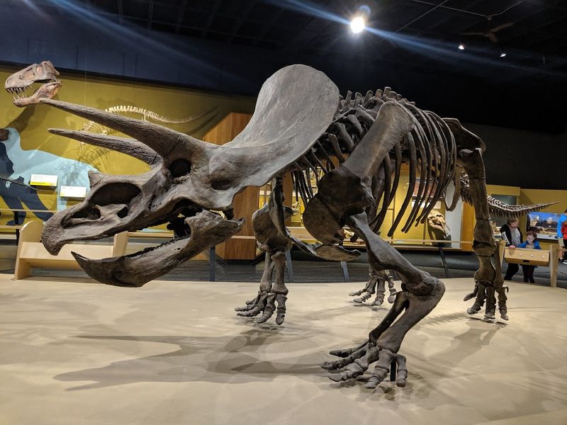 Cleveland Museum of Natural History – Cleveland, OH