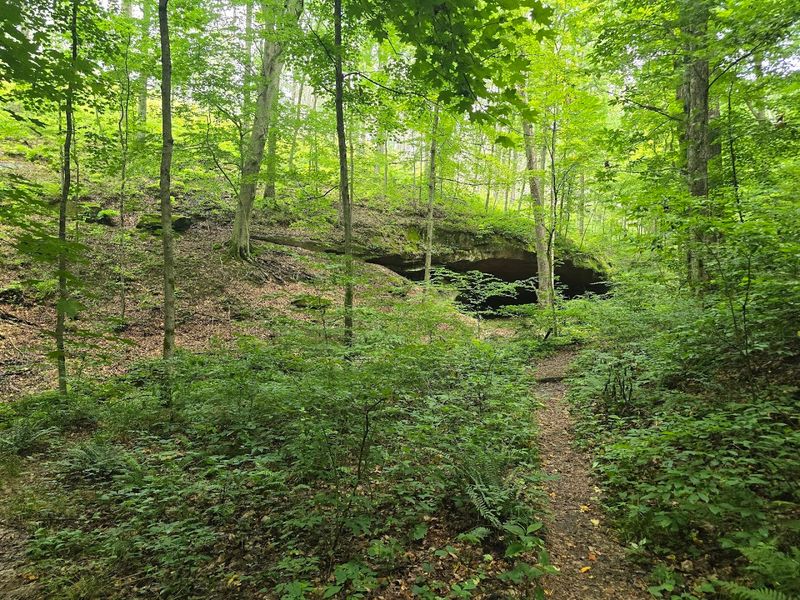 Hiking Trails Through Zaleski State Forest