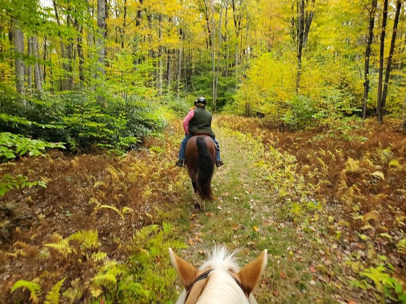 Educational Programs and Ranger Activities