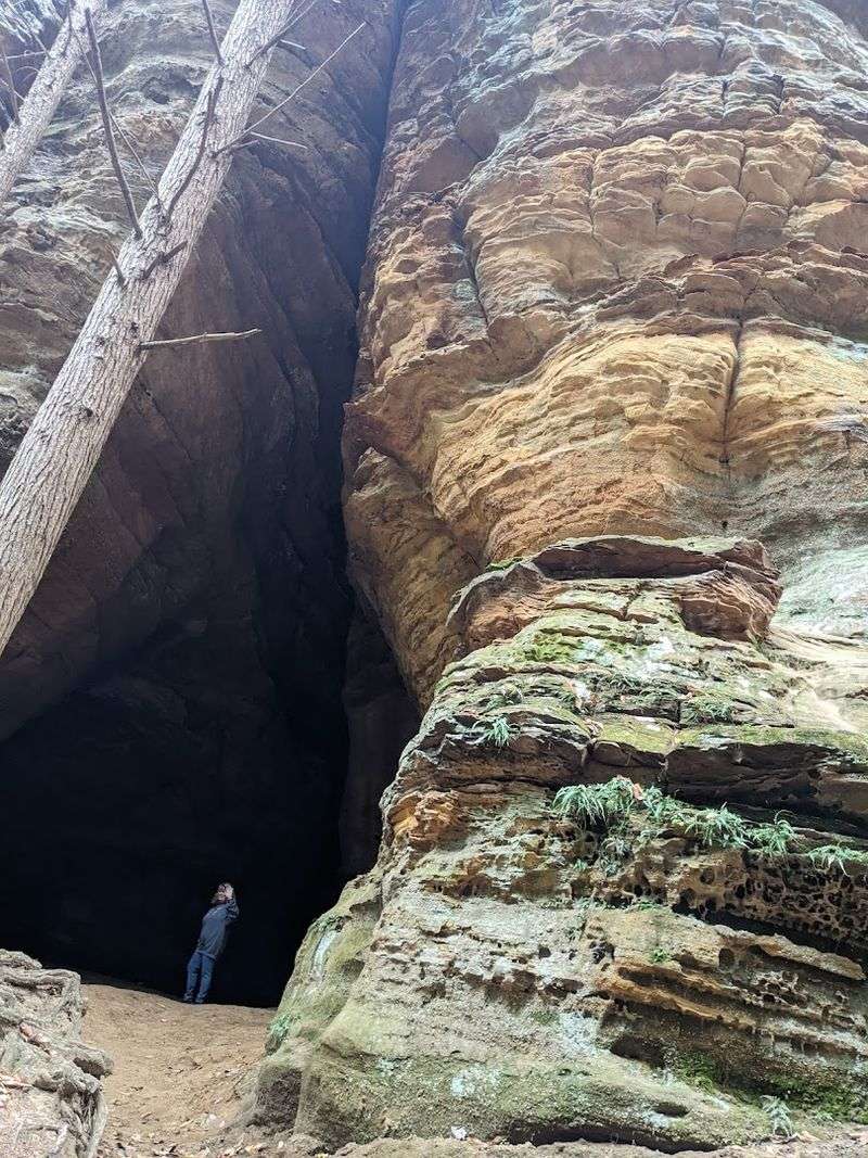 Crane Hollow State Nature Preserve — Old-Growth Forest and Spring Ephemerals on a Quiet Trail