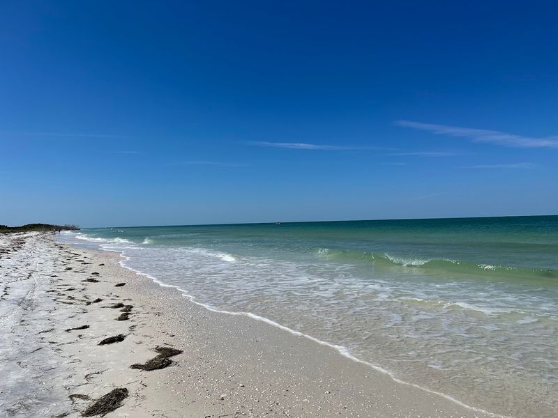 Honeymoon Island State Park - Dunedin