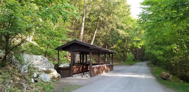 Picnic Areas and Pavilions