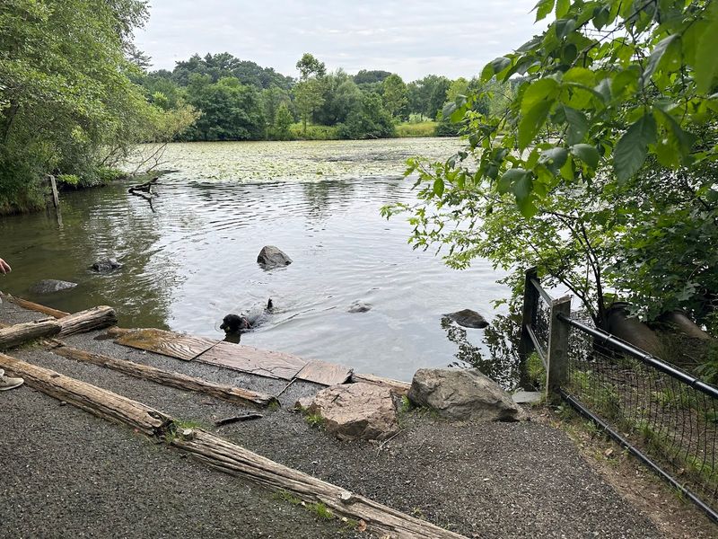 Fresh Pond Reservation Loop