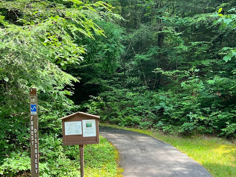 Paved Trails Make The History Easy To Reach