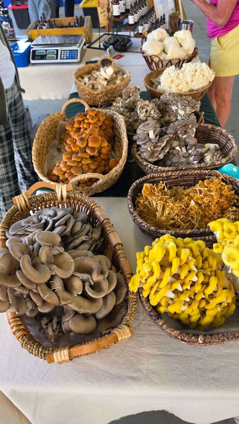 Charlotte Regional Farmers Market &ndash; Charlotte