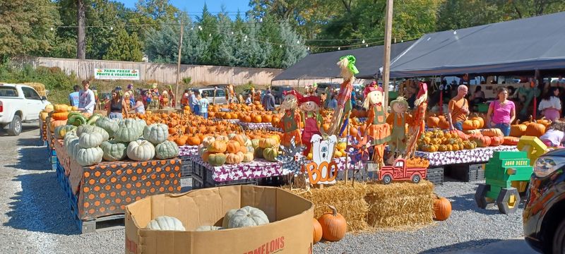 Kings Drive Farmers Market