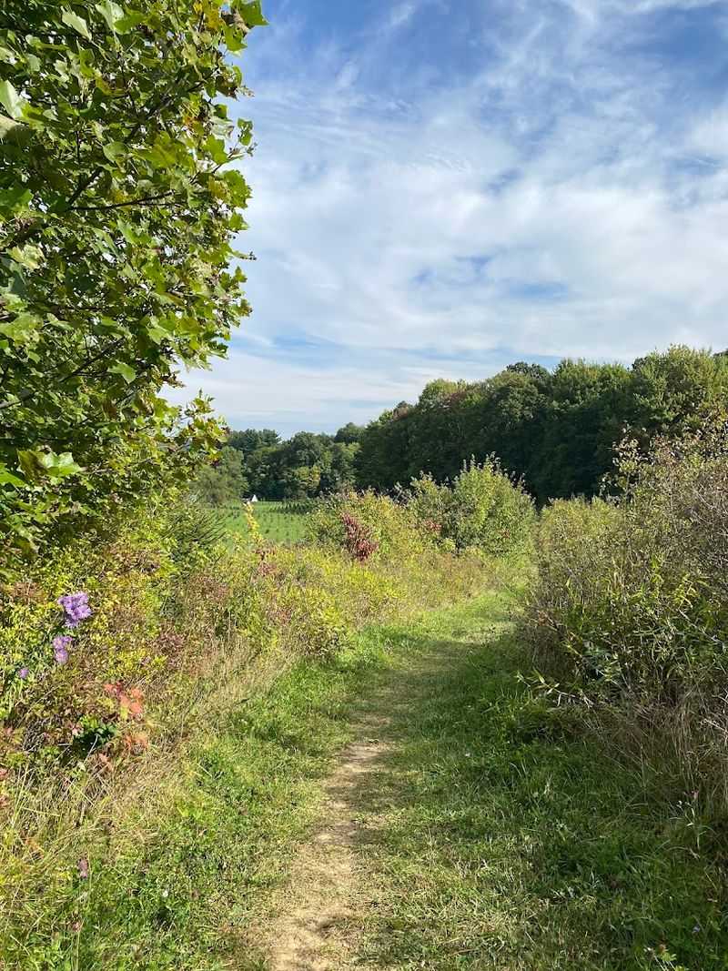 Tree Farm Trail &ndash; Cuyahoga Valley National Park