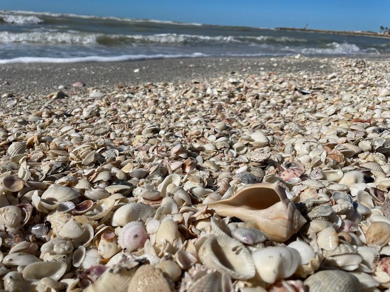 Blind Pass Beach - Sanibel Island