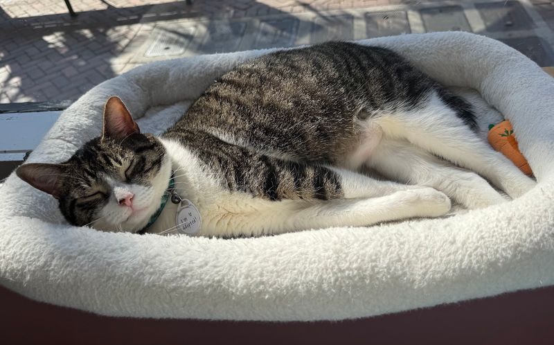 A Place Worth Adding to Your Savannah Itinerary